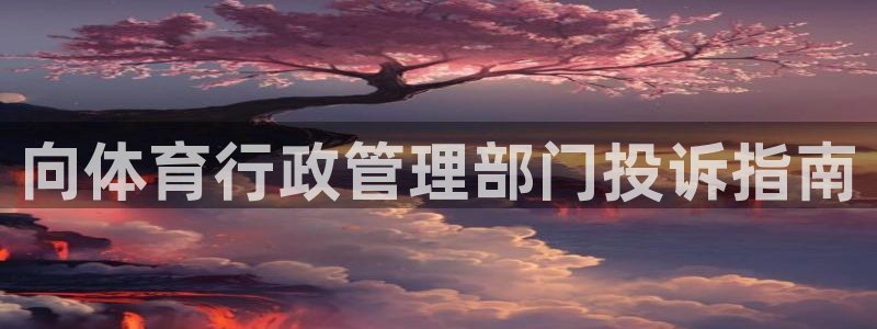 必一体育官方网站入口