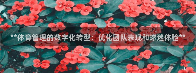 必一体育黑平台：**