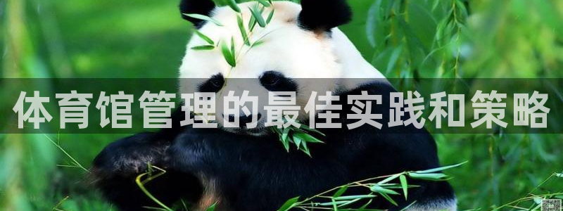 必一体育是哪里的台子