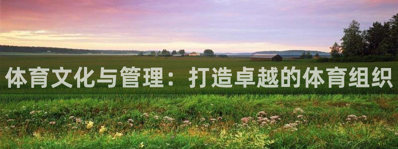必一运动bsport体育app下载