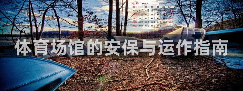 必一体育在哪下：体育
