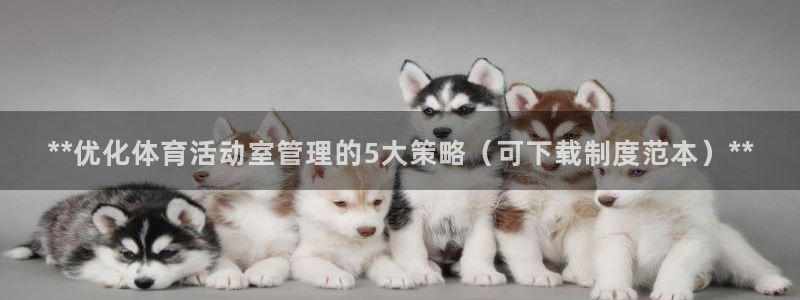必一体育手机下载：*