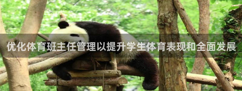 必一体育在哪下：优化