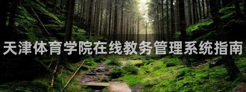 必一体育运动官网：天