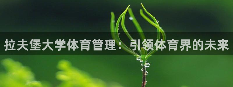 必一体育运动app下载
