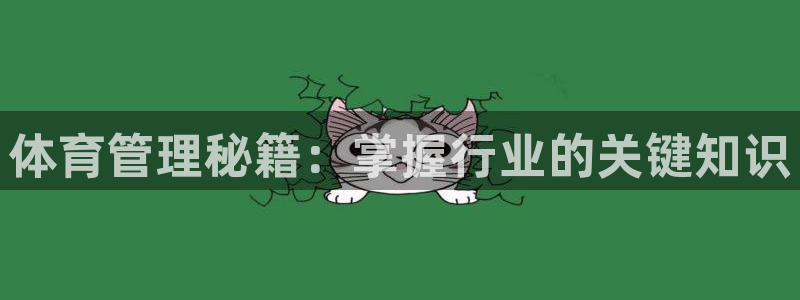 必一体育电子app：