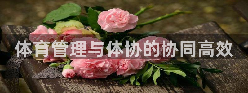 必一体育网站