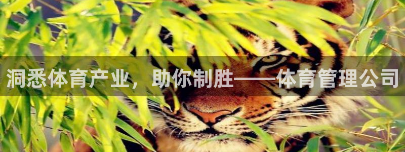 必一体育app官方