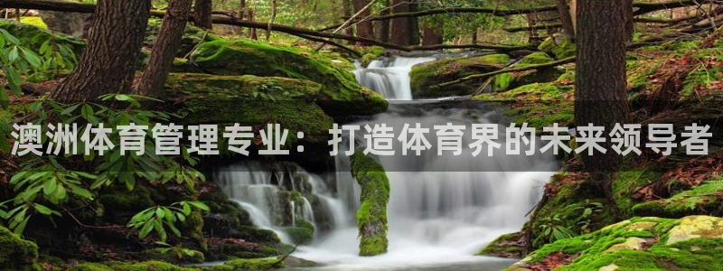 必一体育流水线是什么意思