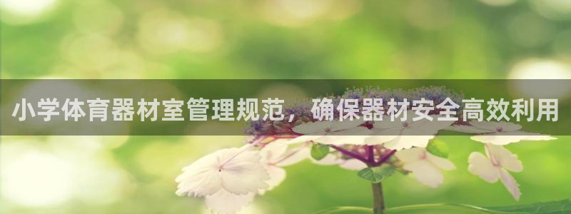 必一体育下载app下