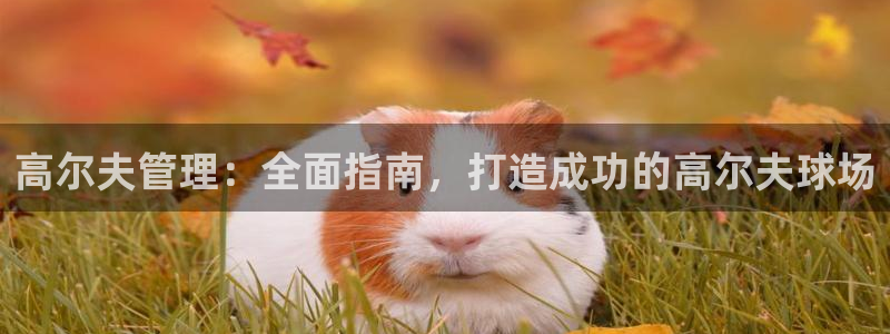 必一体育sport官