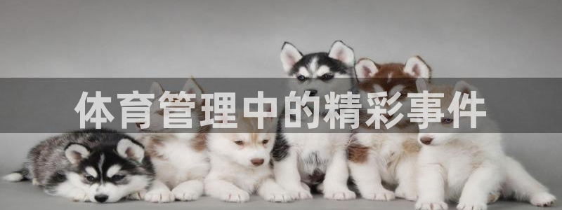 必一运动 b 体育素