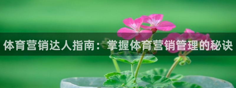 必一体育sport：