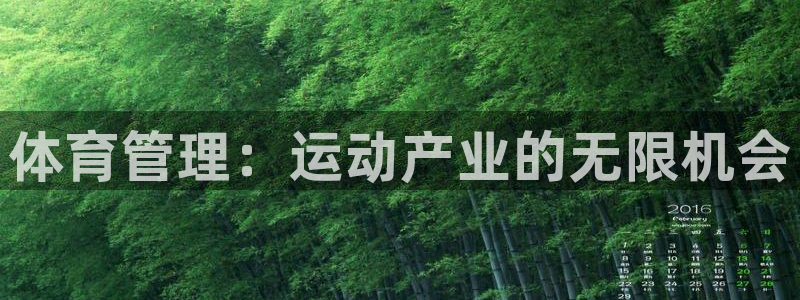 必一体育sport