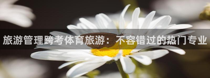 必十二和必一的副作用