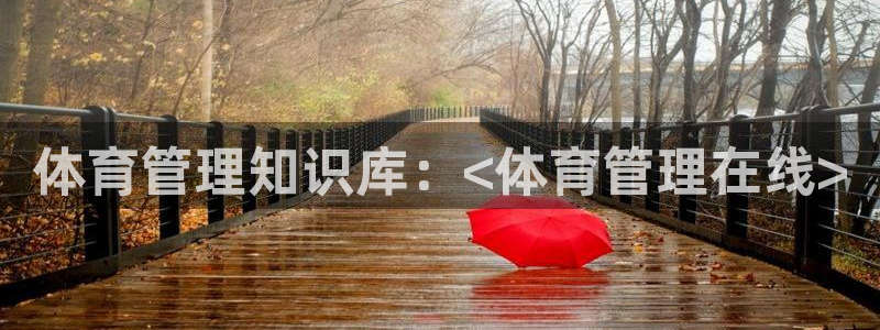 必一体育APP下载安装
