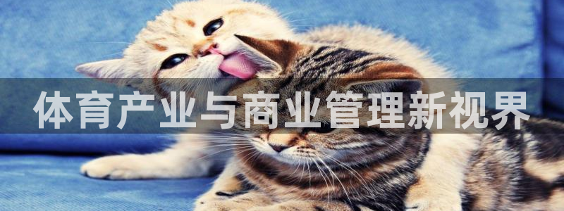 必一体育没了：体育产