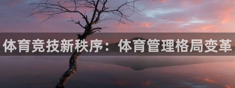 必一体育游戏特色