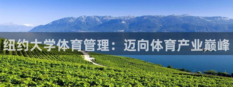 必一体育sportB体育