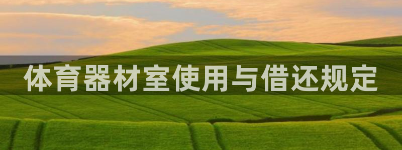 必一体育最新官网入口