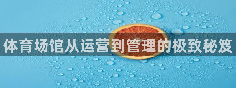 必一体育在线入口：体
