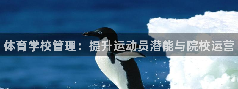 必一体育APP下载安装