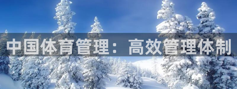必一体育在线玩