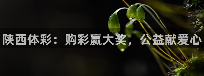b体育必一下载