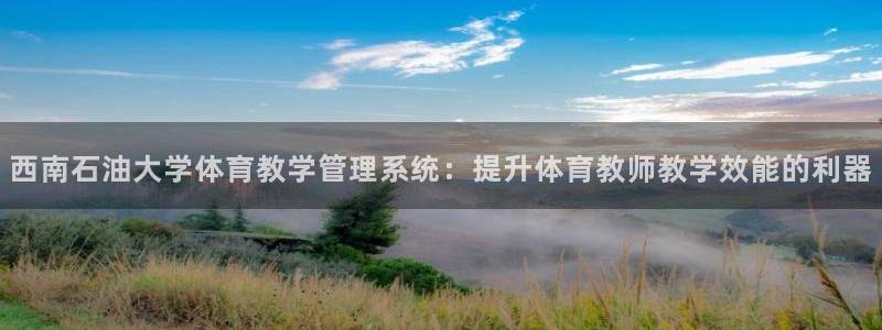 必一体育APP下载安