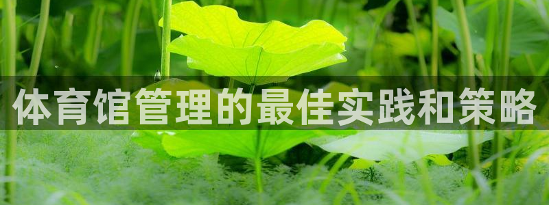 必一运动官网登录入口