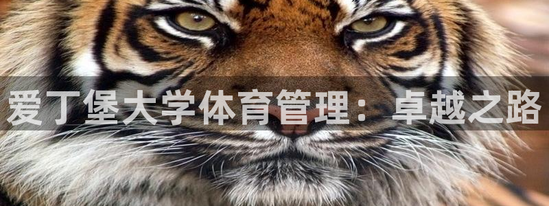 b体育必一运动网页版