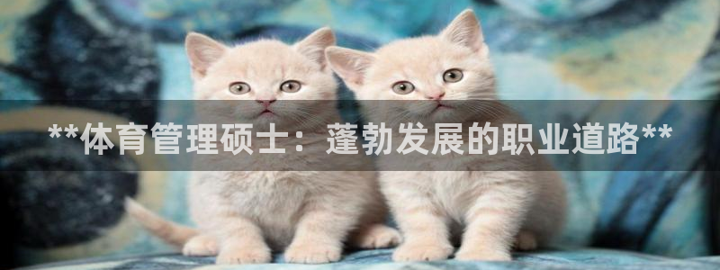 必一体育在哪下：**