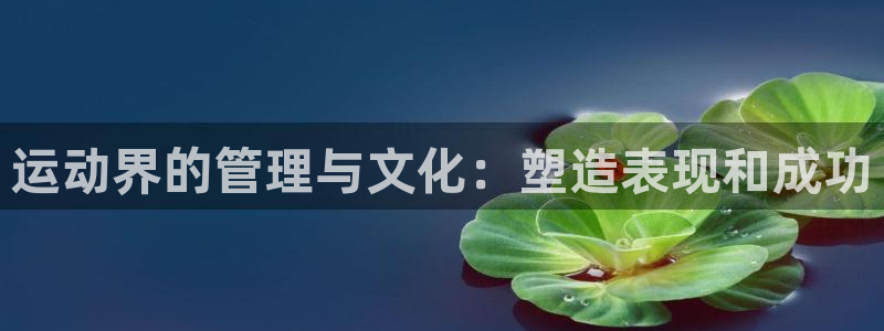必一体育登录