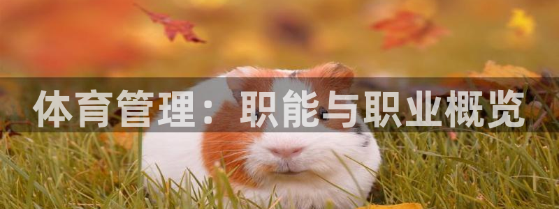 必一运动官网平台