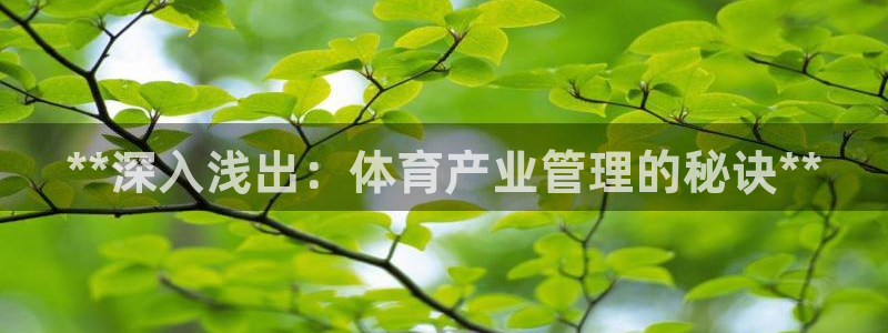 必一体育app下载最新版本