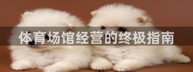 必一体育sportB体育