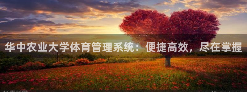 必一运动官网登录入口