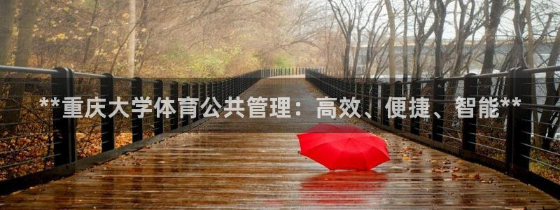 必一体育官网网址：*