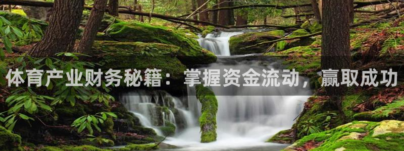 必一运动验证码：体育