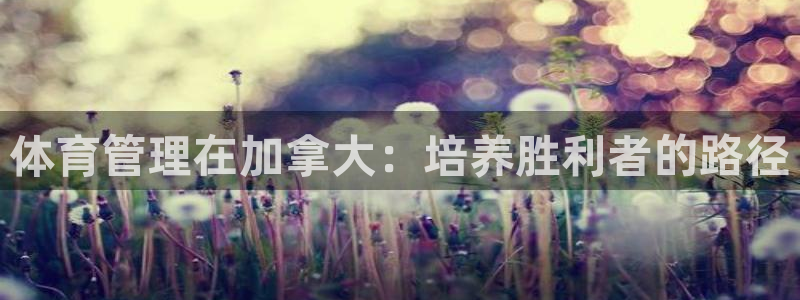 必一运动B-Sport官方网站入口