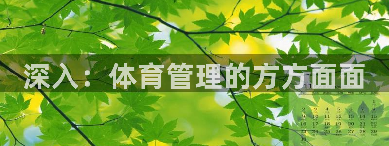 必一体育是哪里的台子