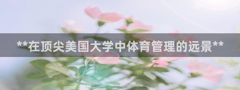 必一体育sport：