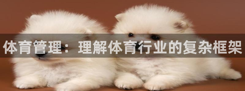 必一体育网页版登录