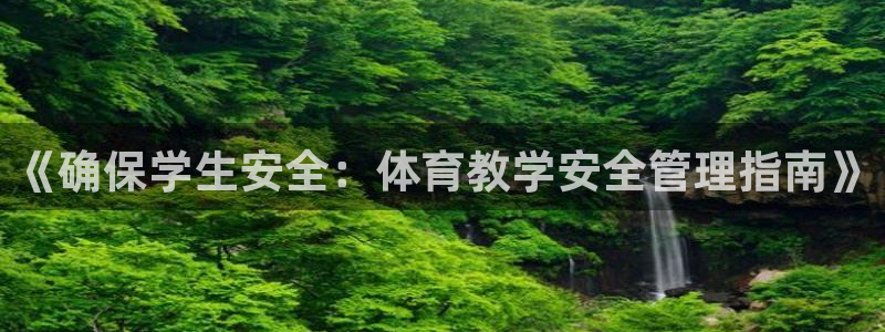 必一体育sportB