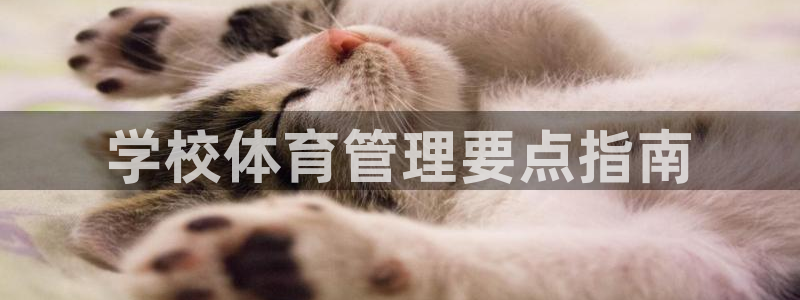 必一体育网页登陆