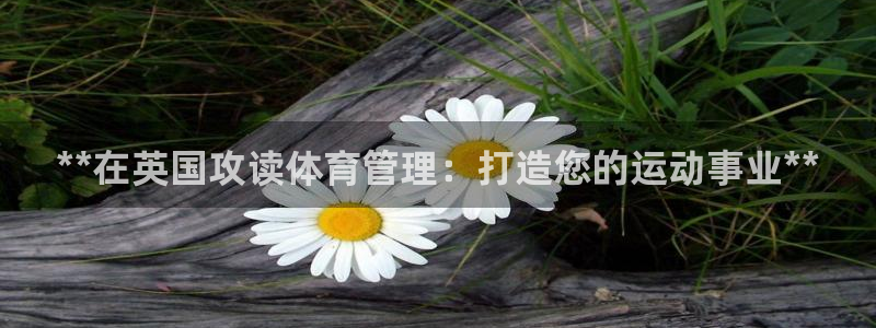 必一体育网页