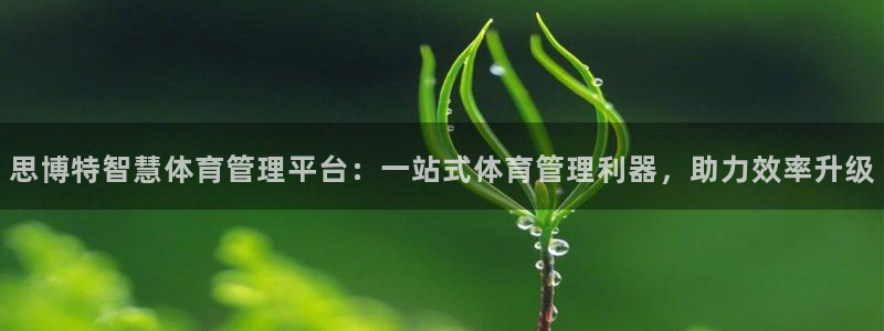 必一体育网页：思博特智慧体育管理平台：一站式体育管理利器，助