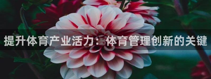 必一体育没了