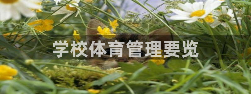 必一体育运动app下