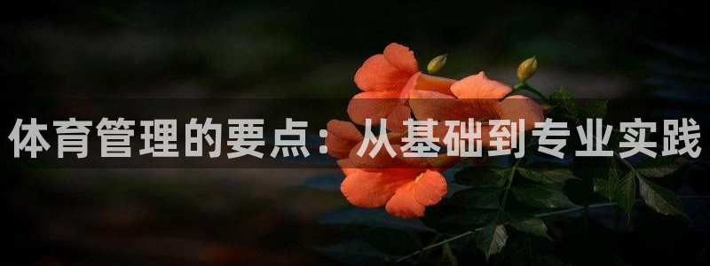 必一体育：体育管理的